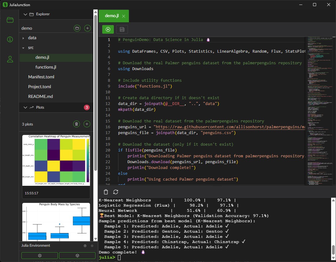 JuliaJunction IDE Screenshot